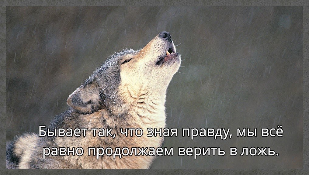 ☆ ☆ - 27  2019  03:42