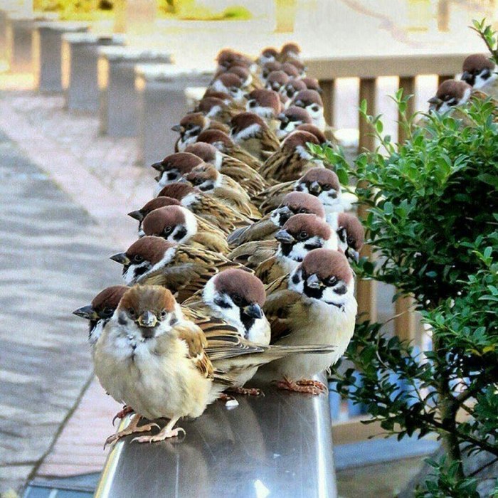  ...)