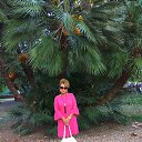 ���� �����, �����-��������� - ��������� 5 ������ 2019 � ������ ���� ����������