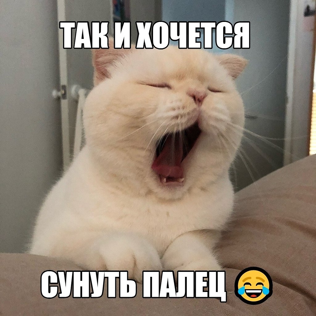   - 12  2019  02:09