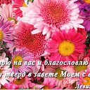 ���� �������, ���� - ��������� 7 �������� 2019 � ������ ������ ��������