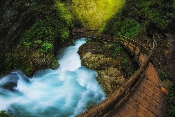  Vintgar Gorge, o. |  