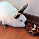 ���� Ashot, ������, 67 ��� - ��������� 18 ������ 2019 � ������ ������ ��������