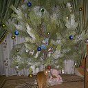 ����� ���������� �� ������� ������ ���