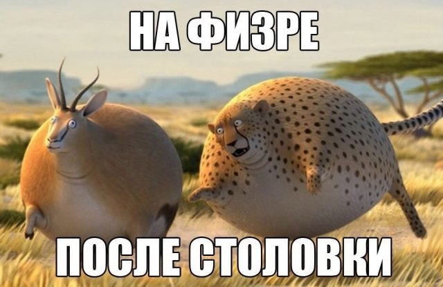 ***Victoria Viktorovna*** - 4  2019  09:35