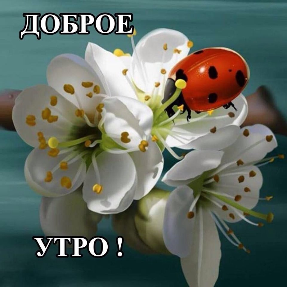   ,    . - 8  2019  21:12 - 2