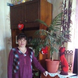 �����, �������, 54 ����