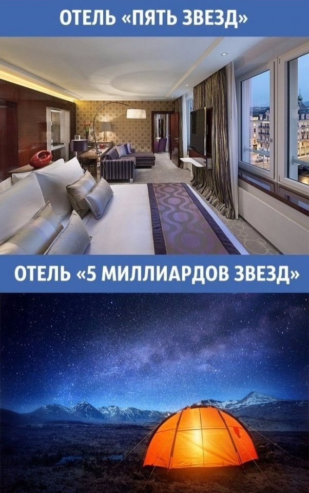     -   . - 6