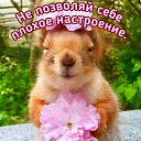 ���� Alekcandr, ������ - ��������� 25 ���� 2019 � ������ ������ ��������