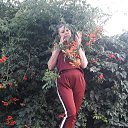 ���� ��������, ���������, 57 ��� - ��������� 27 ������� 2019 � ������ ���� ����������