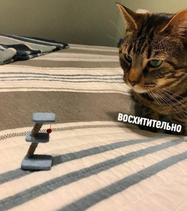  :   