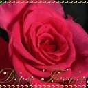 ���� ������, �����-���������, 39 ��� - ��������� 20 ���� 2019 � ������ ���� ����������