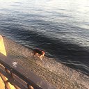 ���� ������., �����-��������� - ��������� 22 ���� 2019 � ������ ������ ��������