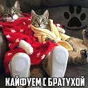 ���� Sardor, �������, 62 ���� - ��������� 23 ������ 2019