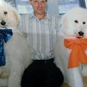 ���� �������, ������, 49 ��� - ��������� 16 ������� 2019 � ������ ���� ����������