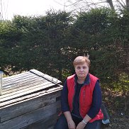 �����, 66 ���, ������