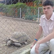 ���� ����, 24 ����, �����������-��-�����