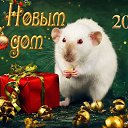 ���� ��������, ������, 69 ��� - ��������� 30 ������� 2019 � ������ ������ ��������