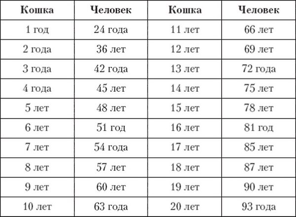 Boзраст кошки по человеческим меркамCчитаем правильно!!! Детство Это маленькие котята до 6-7 месяцев ...