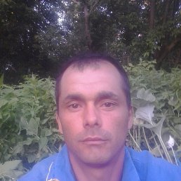 Denis, 38, 