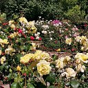  , , 50  -  1  2019   1 2019