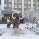 ���� ������, ������������, 62 ���� - ��������� 2 ���� 2019 � ������ ���� ����������