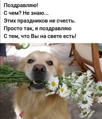 ✿ܓ☘ ������ ☕ ◕‿◕ ☕ ��������.☘ ✿ܓ - 27 �������� 2019 � 07:49