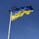 ���� ���������, ����, 38 ��� - ��������� 19 ������� 2019 � ������ ���� ����������