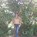 ���� ����, ���������, 56 ��� - ��������� 3 ��� 2019 � ������ ���� ����������