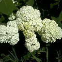 ���� �����, �����������, 69 ��� - ��������� 12 ���� 2019 � ������ ������ ��������