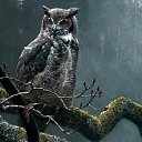 ���� Stepan, ����������, 35 ��� - ��������� 19 ������ 2019 � ������ ���� ����������