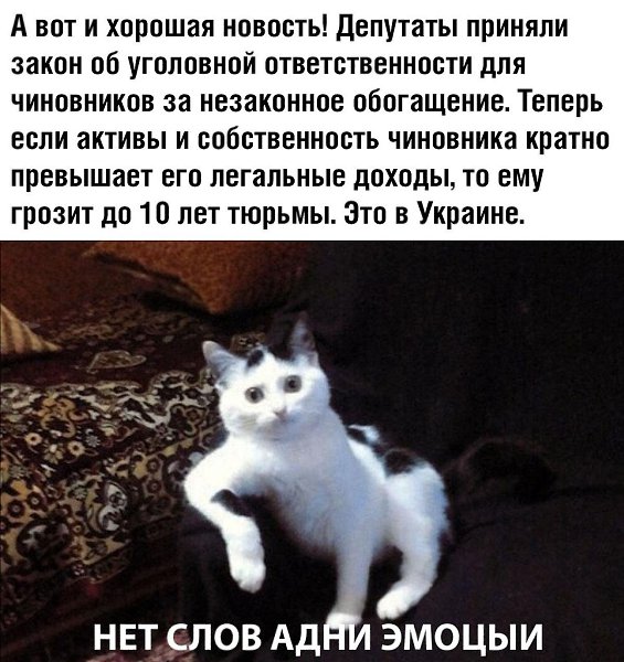 ₪╬═►  ||  ||  ◄═╬₪ - 2  2019  10:58