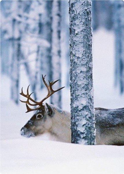  |  | - - 28  2019  18:29 - 5