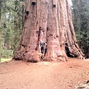 Sequoia National Park. California, USA   Travels