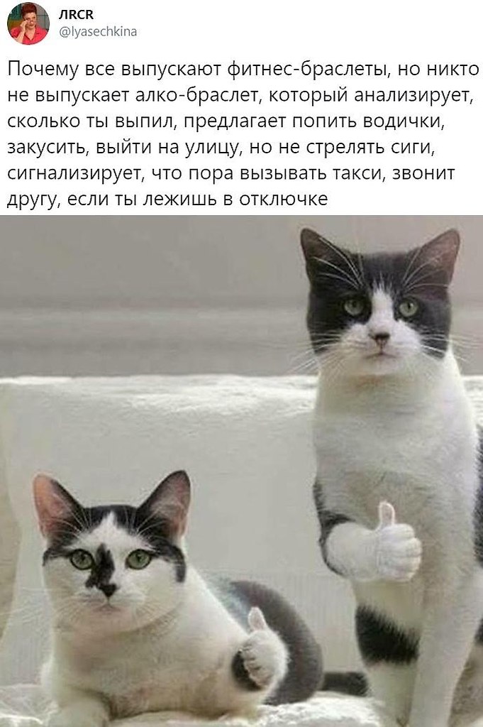 " ר  " - 23  2019  08:58