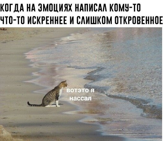  - 17  2019  03:19