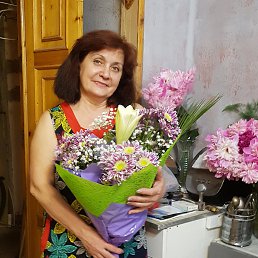 ��������, ���������, 66 ���