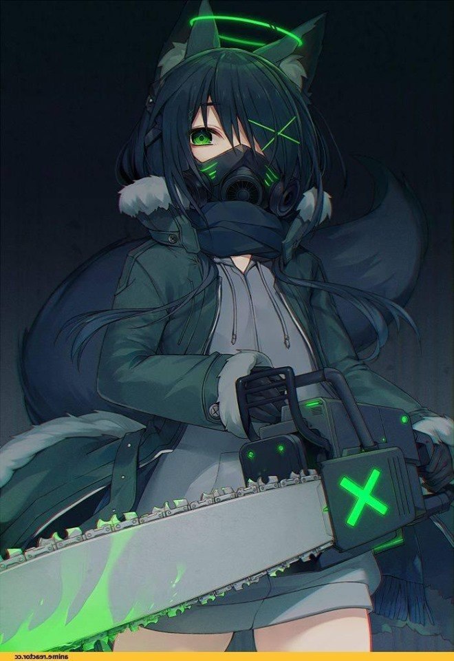    - 20  2019  16:37