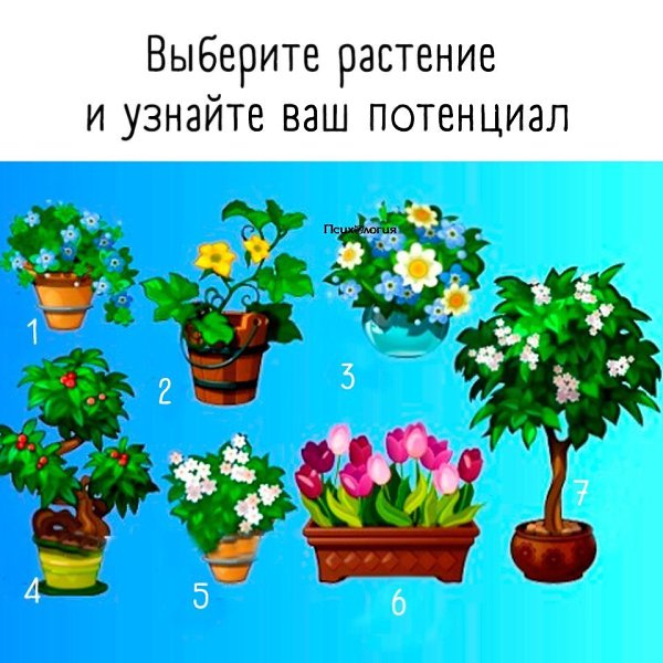 Пишите в комментариях номер, который Вы выбрали.И читайте ответы на тест в комментариях под этим ...
