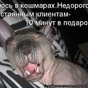 ���� �����, �������, 55 ��� - ��������� 22 ��� 2019 � ������ ������ ��������