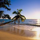 ���� ���, ��������, 34 ���� - ��������� 12 ���� 2019 � ������ ���� ����������