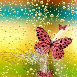 Lengi1, �������, 45 ���