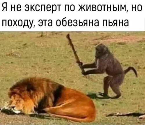 - 16  2019  15:10