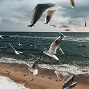 ���� ��������, ��������� - ��������� 23 ������� 2019 � ������ ������ ��������