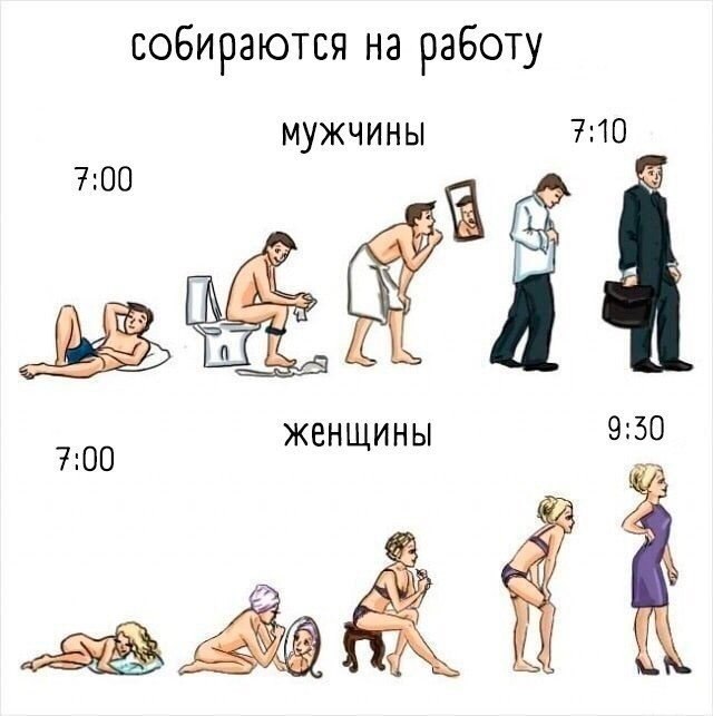   ,   ..    - 7