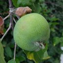 ���� �����, ����, 45 ��� - ��������� 1 ���� 2019