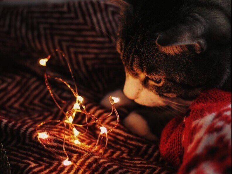 ���� - ��� ������: ��������, ����� � ������. ����� ���� ����� ����� ����� ��. - 2