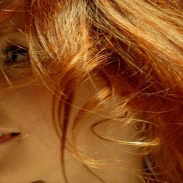 ����, �����-�������, 39 ���