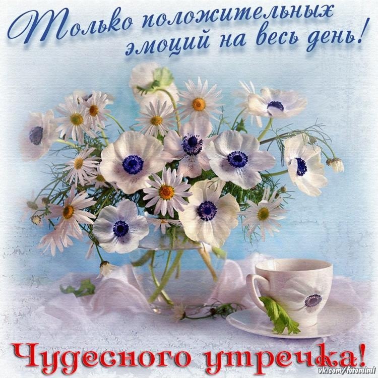  - 17  2019  07:53