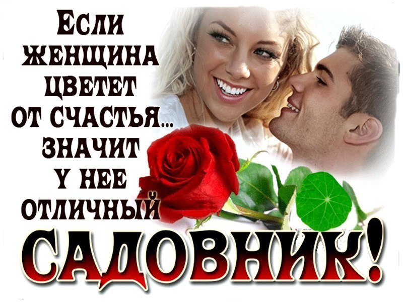 Ландыш - 29 августа 2019 в 03:23